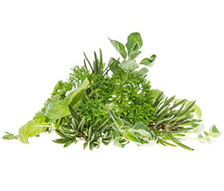 Using Herbal Traditions History Has Taught Us
Using Herbal Traditions History Has Taught Us